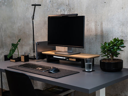 Setup Cockpit Monitorständer Medium